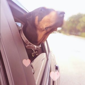 Meet your Posher, Elizabeth